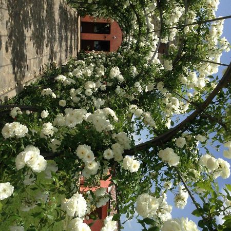 Agriturismo Casale Le Selvette Ripa Luaran gambar