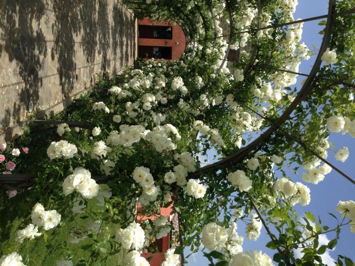 Agriturismo Casale Le Selvette Ripa Luaran gambar