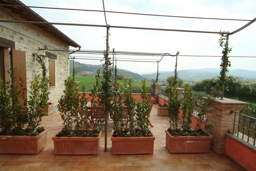 Agriturismo Casale Le Selvette Ripa Luaran gambar