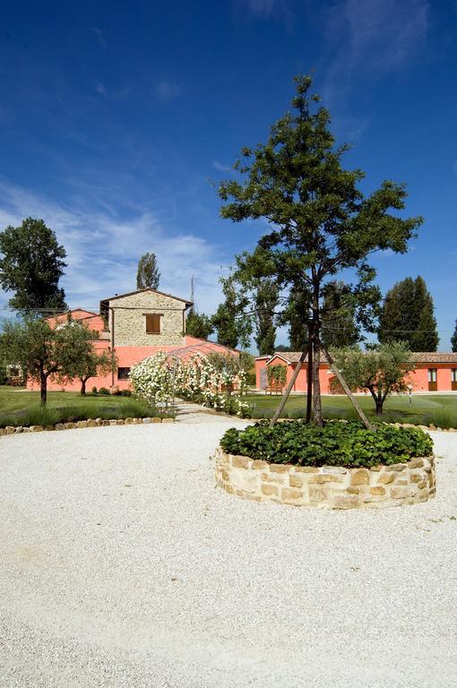 Agriturismo Casale Le Selvette Ripa Luaran gambar