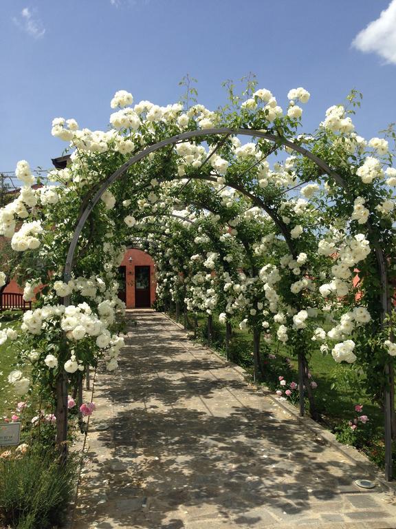 Agriturismo Casale Le Selvette Ripa Luaran gambar