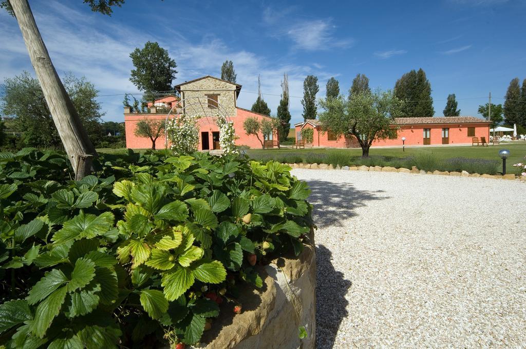 Agriturismo Casale Le Selvette Ripa Luaran gambar
