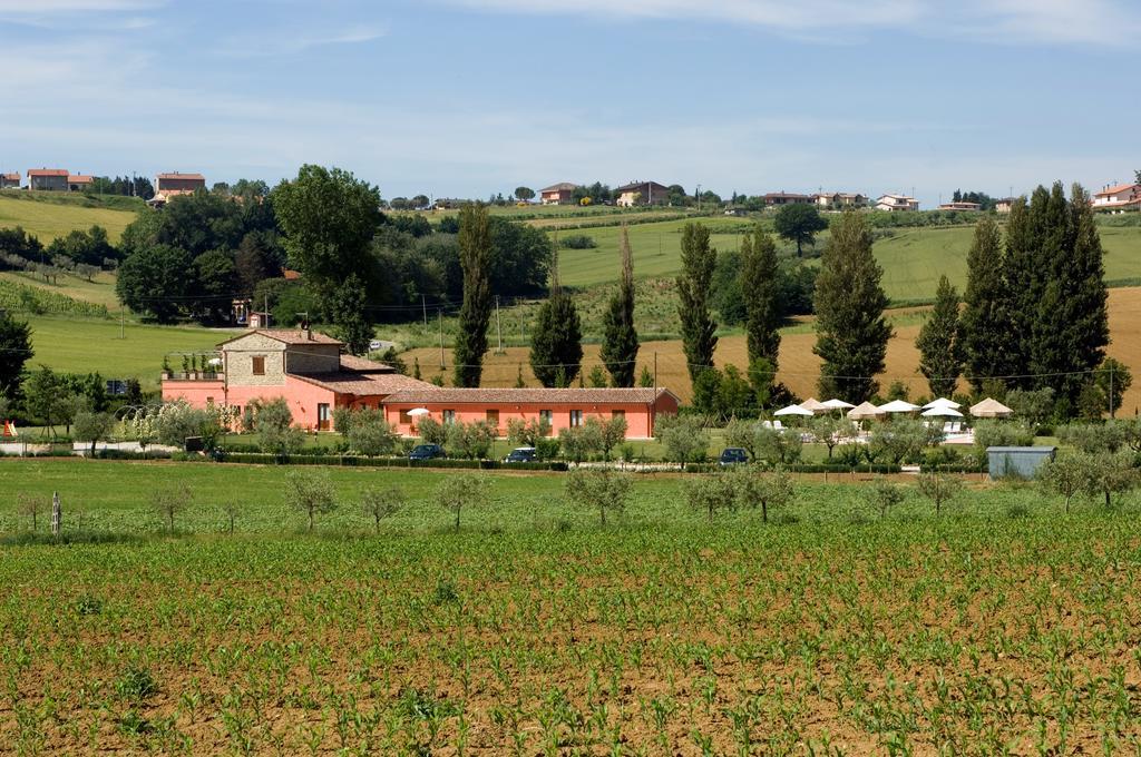 Agriturismo Casale Le Selvette Ripa Luaran gambar