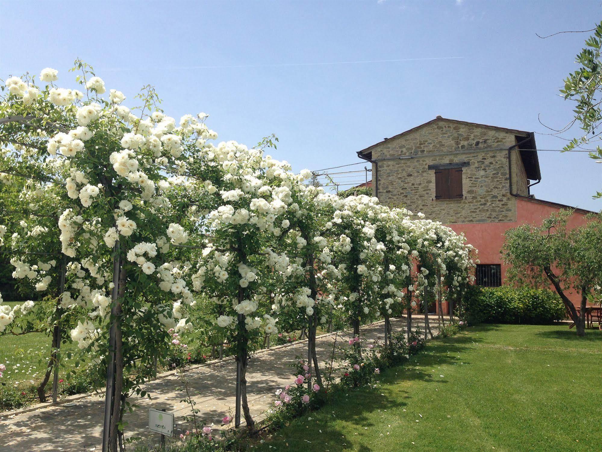 Agriturismo Casale Le Selvette Ripa Luaran gambar