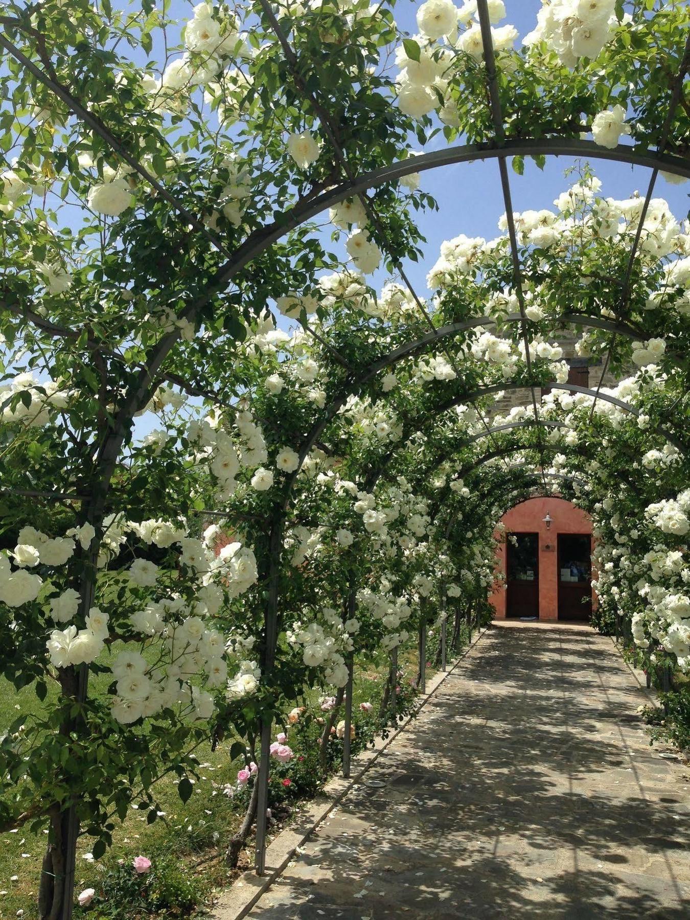 Agriturismo Casale Le Selvette Ripa Luaran gambar